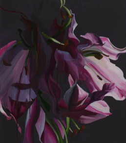 Lillies / 90X80 / Oil on Canvas / 2008