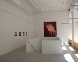 A strange miracle / Giese und Schweiger / installation view