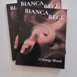 Bianca Regl : A Strange Miracle