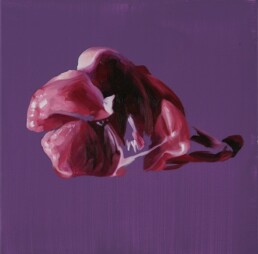 Meat / 40X40 / Oil on Canvas / 2009